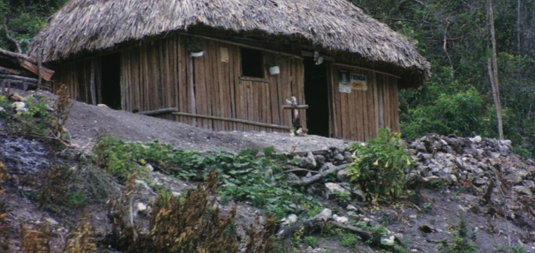 Maya Residential Patterns