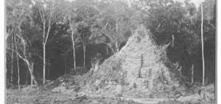 Maya Chronology